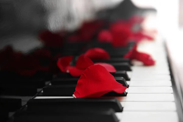 在钢琴键上的玫瑰花瓣 — 图库照片