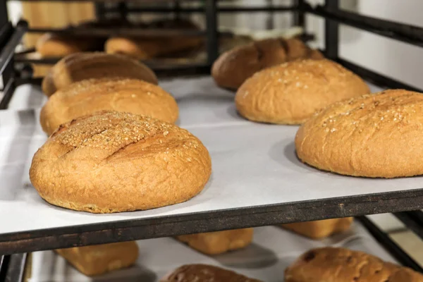 Panes de pan en estanterías — Foto de Stock