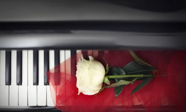 Rosa branca com tecido em teclas de piano — Fotografia de Stock