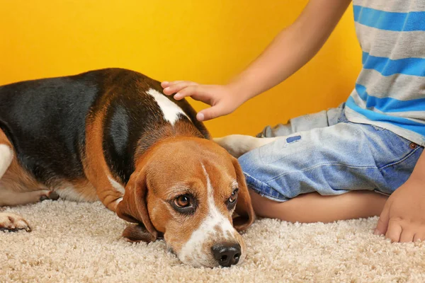 Sevimli çocuk ile köpek — Stok fotoğraf