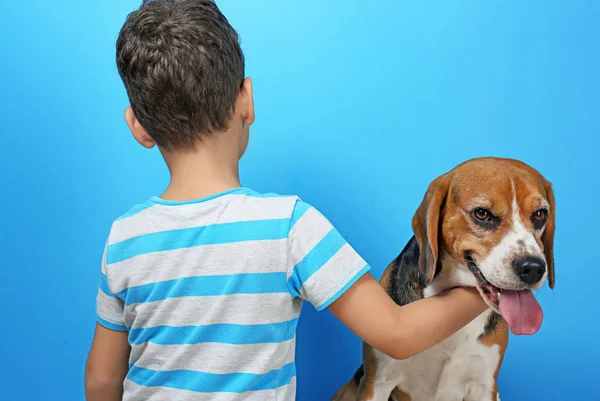 Schattige jongen met hond — Stockfoto