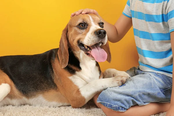 Sevimli çocuk ile köpek 