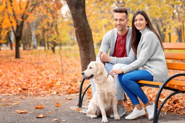 köpek park ile Çift