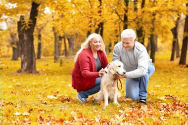 köpek ile Olgun çift 