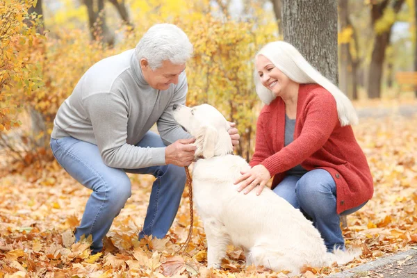 Casal maduro com cão — Fotografia de Stock