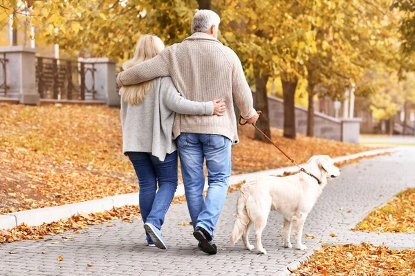 Casal maduro com cão no parque — Fotografia de Stock