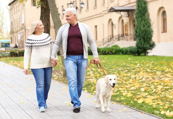 Casal maduro com cão no parque — Fotografia de Stock