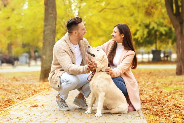 Echtpaar met hond in park — Stockfoto