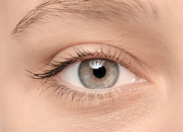 Weibliches Auge mit langen Wimpern — Stockfoto