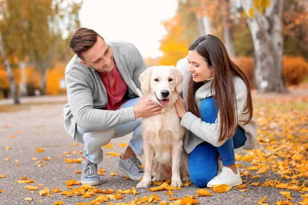 Echtpaar met hond in park — Stockfoto