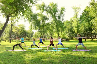 Bir grup genç insan parkta eğitim