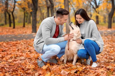 köpek park ile Çift