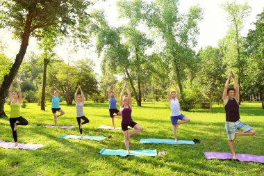 Bir grup genç insan pratik yoga Park