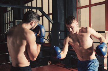 Genç profesyonel boksörler 