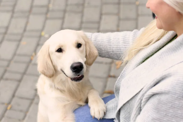 Mature woman with dog — Stock Photo, Image