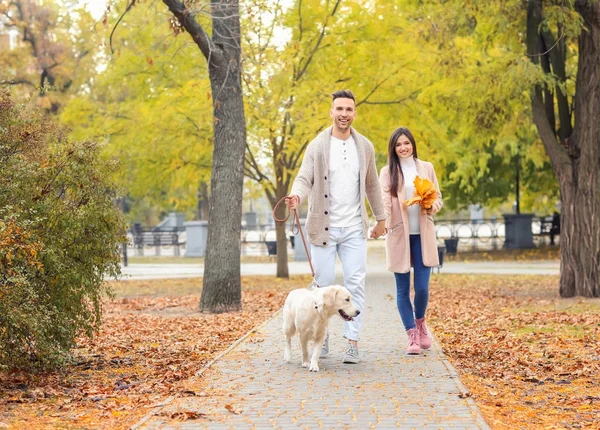 Paar mit Hund im Park — Stockfoto