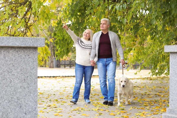 Älteres Paar mit Hund im Park — Stockfoto