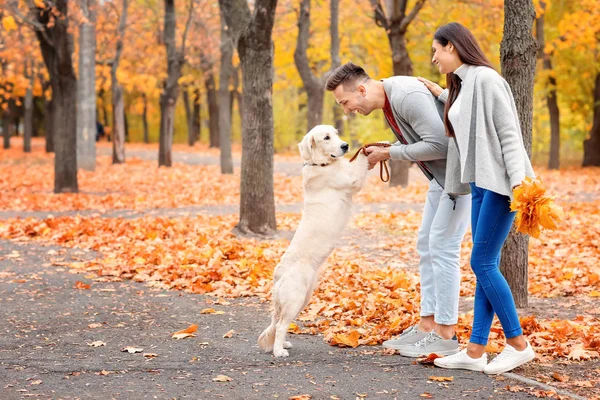 Echtpaar met hond in park — Stockfoto