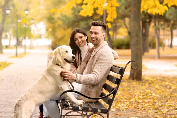 Pár se psem v parku — Stock fotografie