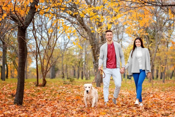 Couple avec chien dans le parc — Photo