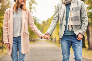 Sonbahar gününde Park'ta yürüyordunuz genç Çift