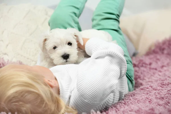 Piccola ragazza carina con cucciolo — Foto Stock
