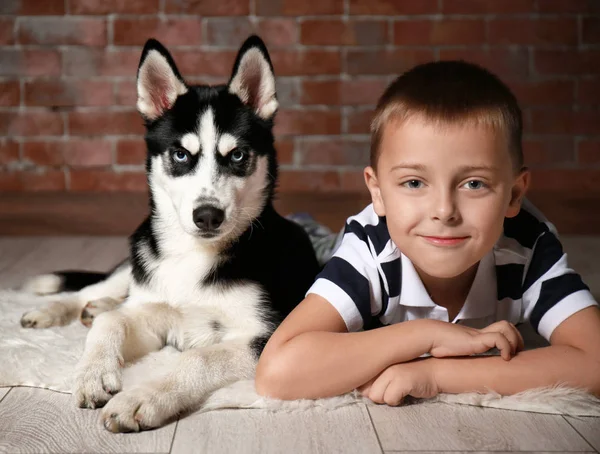 Cute husky puppy and little boy on floor at home — Stock Photo, Image