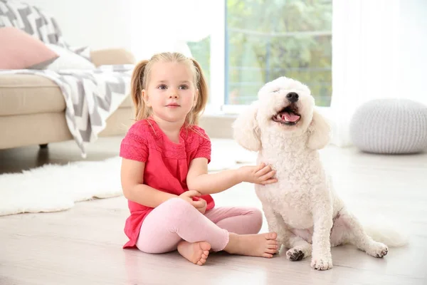 Adorabile bambina con il suo cane a casa — Foto Stock