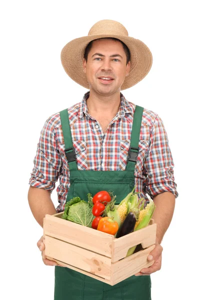 Agronomista com legumes saudáveis no fundo branco — Fotografia de Stock