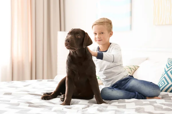 Милый маленький мальчик с собакой в постели дома — стоковое фото