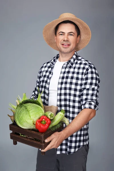 Agronom mit Gemüse auf grauem Hintergrund — Stockfoto