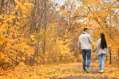 Sonbahar gününde Park'ta yürüyordunuz genç Çift