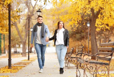 Sonbahar gününde Park'ta yürüyordunuz genç Çift