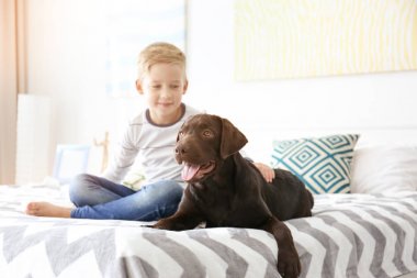 Şirin ufaklık evde yatakta köpekle