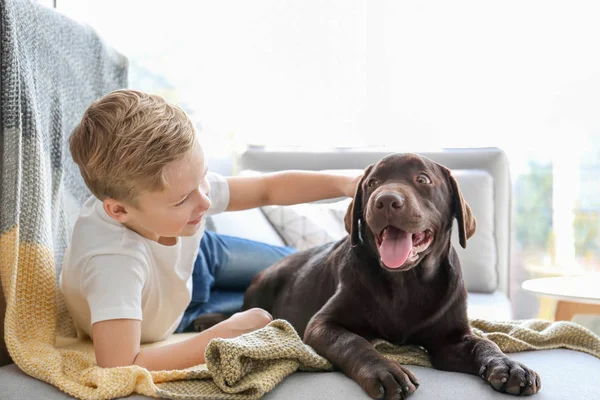 Mignon petit garçon avec chien sur canapé à la maison — Photo