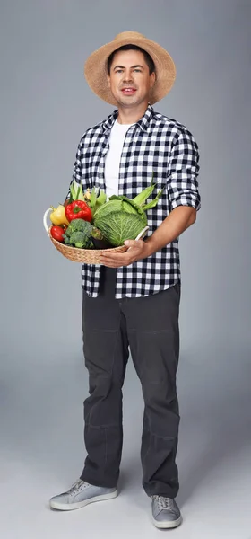 Mužské agronom se zeleninou na šedém pozadí — Stock fotografie