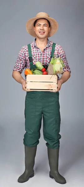 Agrónomo con verduras sobre fondo gris — Foto de Stock