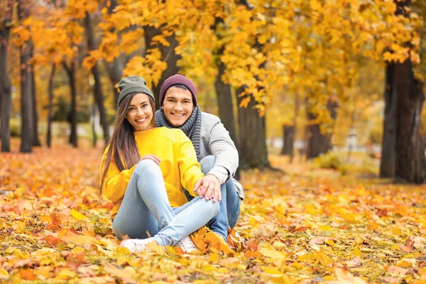 秋の公園で地面に座っている若いカップル — ストック写真