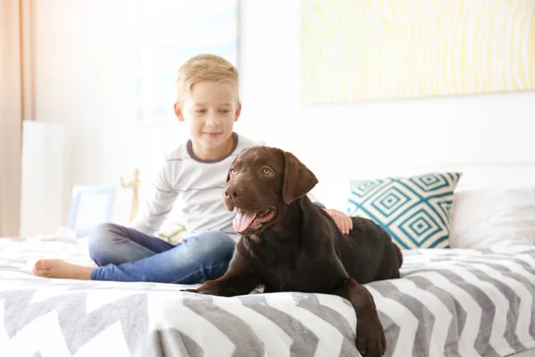 Mignon petit garçon avec chien sur le lit à la maison — Photo