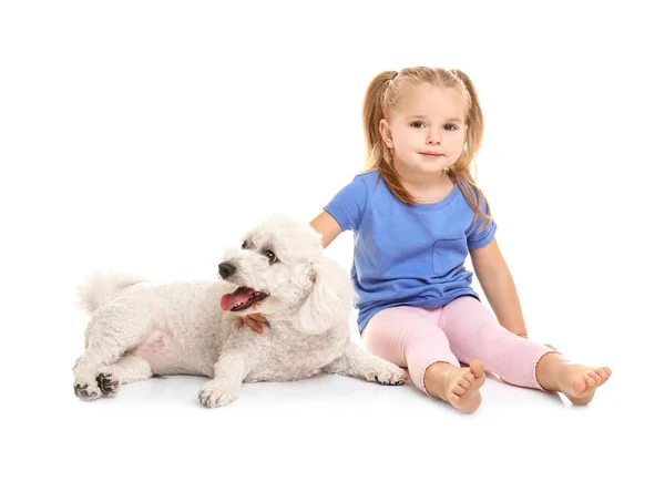 Adorável menina com seu cão no fundo branco — Fotografia de Stock