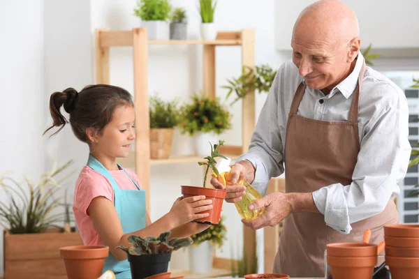 Senior man tuinieren met zijn kleindochter — Stockfoto