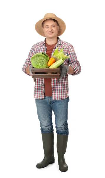 Agrónomo con verduras saludables sobre fondo blanco —  Fotos de Stock