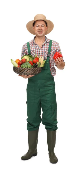 Agronomista com legumes saudáveis no fundo branco — Fotografia de Stock