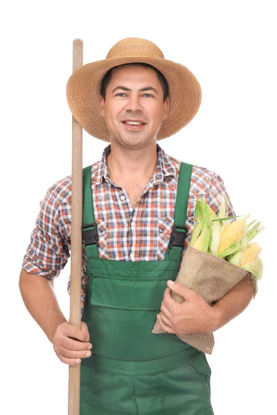 Агрономіст з кукурудзяними цицьками на білому тлі — стокове фото