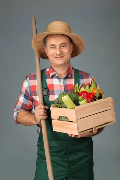 Agronom se zeleninou na šedém pozadí — Stock fotografie