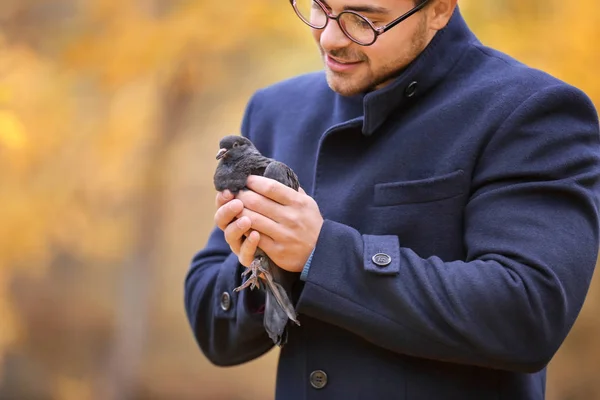 Young man with pigeon — Stock Photo, Image