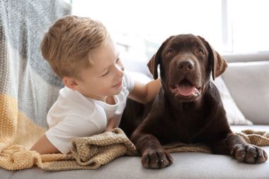 Sevimli küçük çocuk ile köpek evde kanepe
