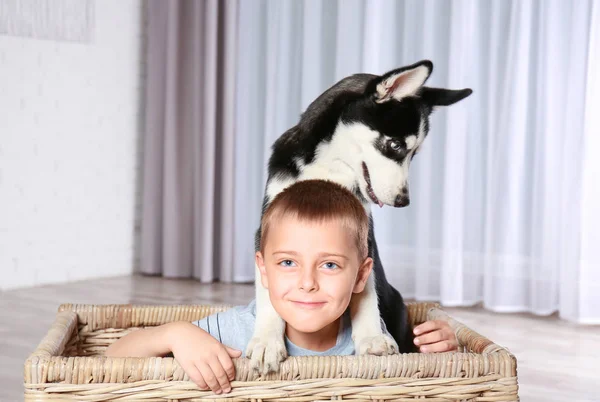 Mignon chiot husky et petit garçon dans le panier en osier à la maison — Photo