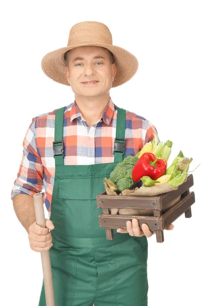 Agronomista com legumes saudáveis no fundo branco — Fotografia de Stock