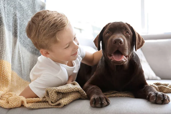 Söt liten pojke med hund på soffan hemma — Stockfoto